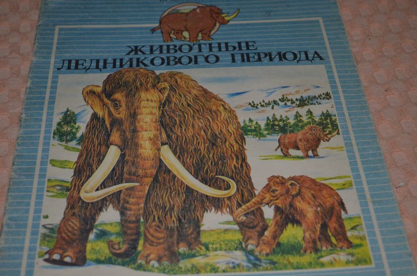 маленькие палеонтологи