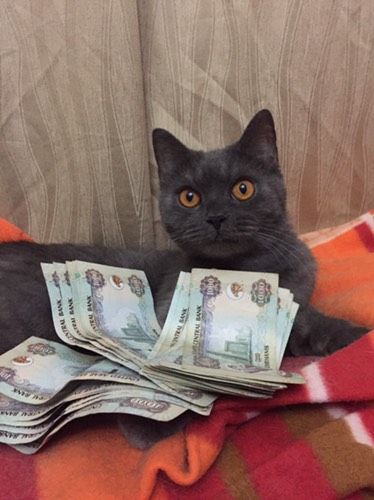 Причуды