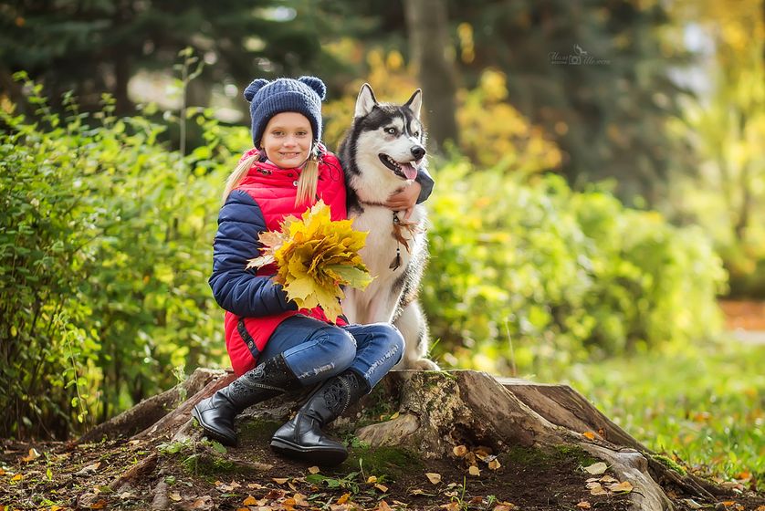 Мини фотопроект с хаски) Фотопост.