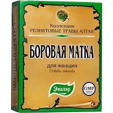 БОРОВАЯ МАТКА