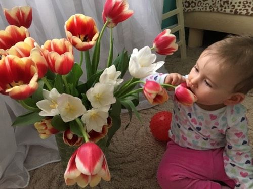 С праздником!!!🌷💐🌸