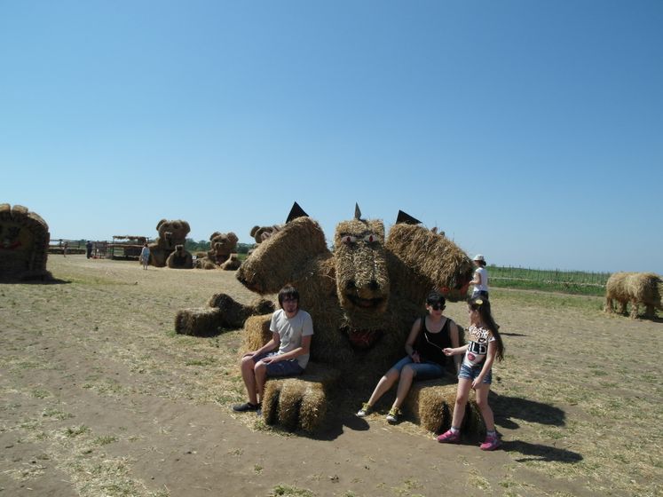 На бахче