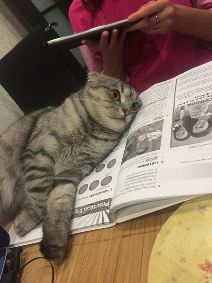 Царь! Очень приятно, Царь!