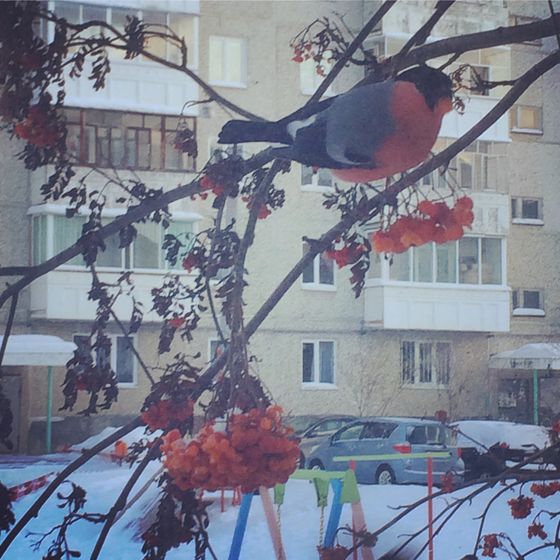 радость в каждом дне, остальная жизнь, вне болезней)