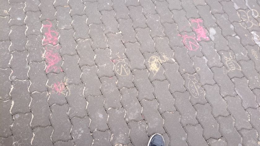 маленькие энтомологии