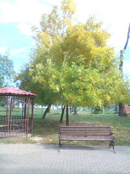 365. День 356. Жаркое бабье лето