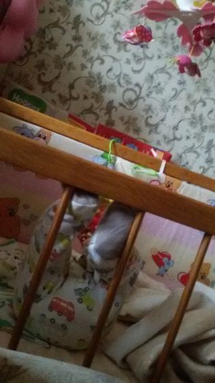 Это наша семья ?