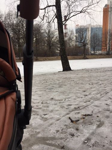 В этом году весны