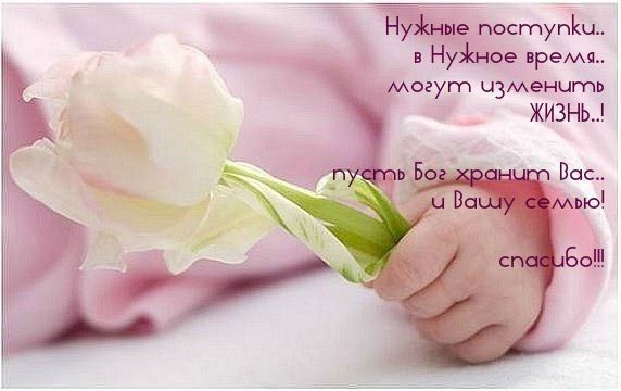Отчет по сбору.