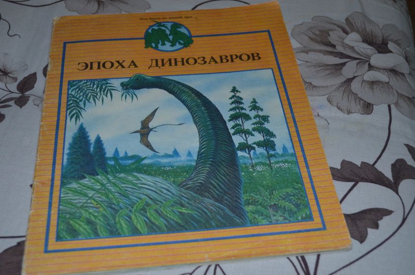 маленькие палеонтологи