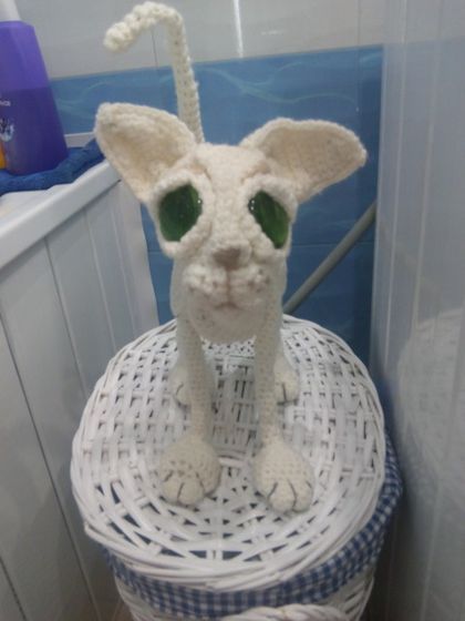 Мой кот)))