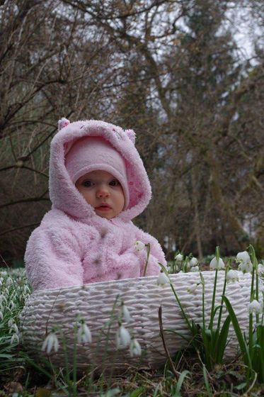 Сегодня на прогулке