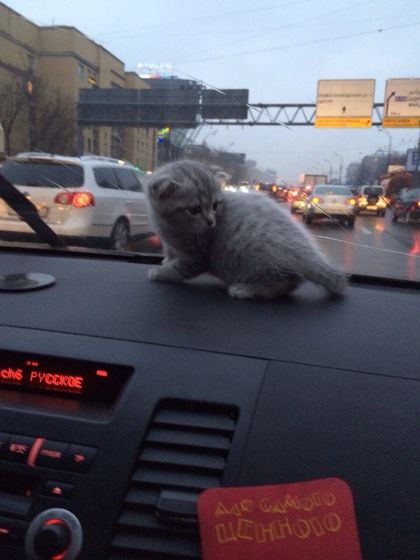 Царь! Очень приятно, Царь!