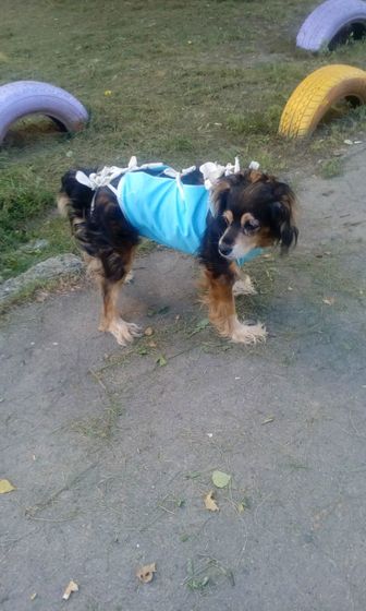 Не только, но это улитки.