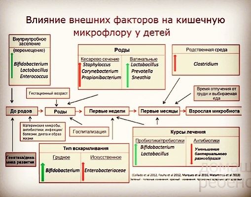 немного юмора для будущих и кормящих (грудью) мам ))))) а так же полезная инфа для думающих и сомневающихся .... ))))