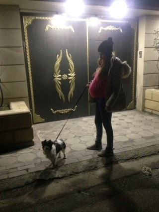 Гуляем с пузяком ?