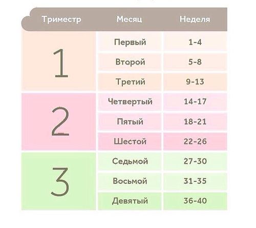 Недельки беременности по месяцам.