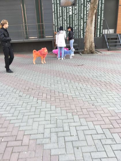 Геленджик. Сестра фото отправила)))