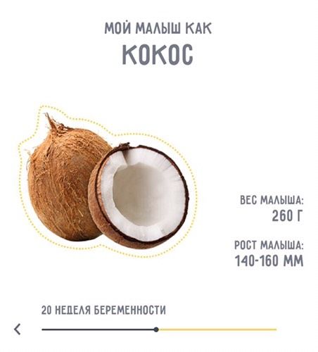 20 неделя:) экватор:)