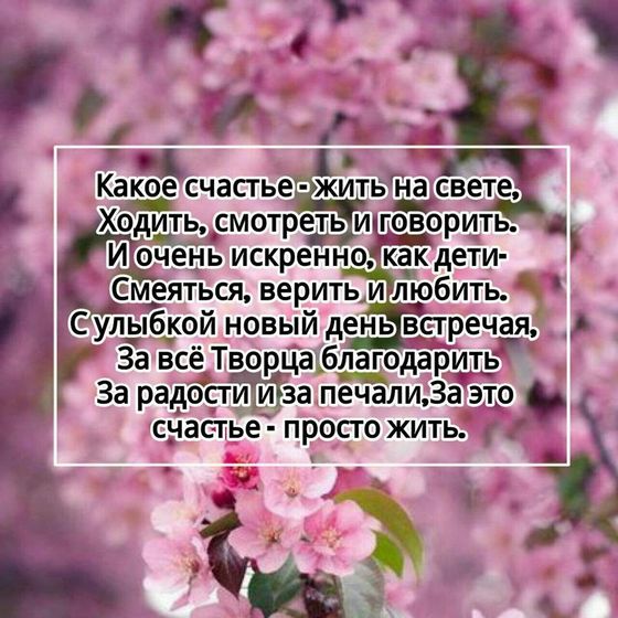 весна!!!! и наши будни) много фото.