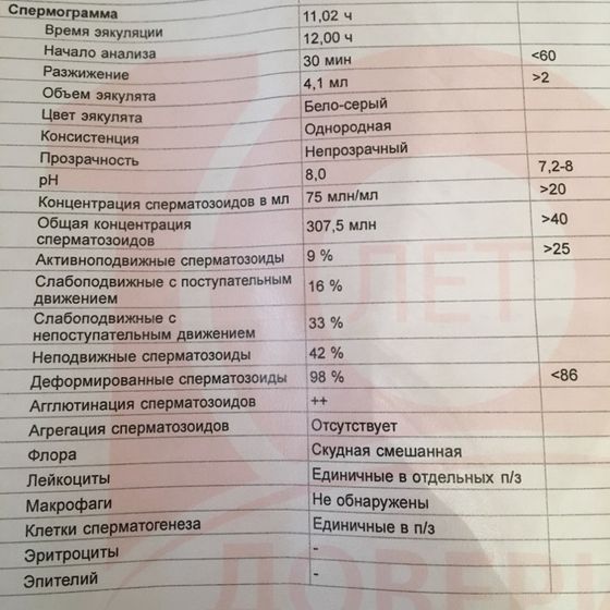 Морфология