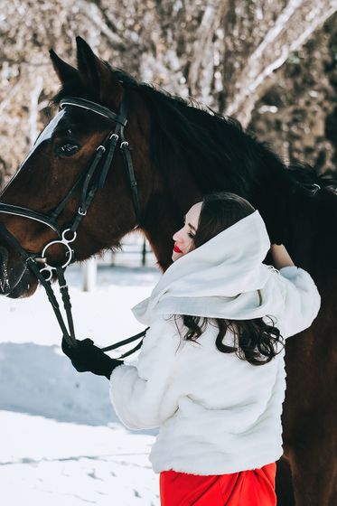 Это Скорость. Это Грация. Это Сила. Лошади — поистине совершенные животные.