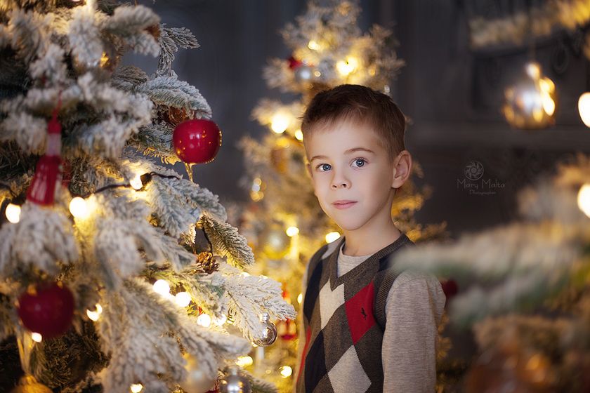 Новогодняя фотосессия в Дадастудия