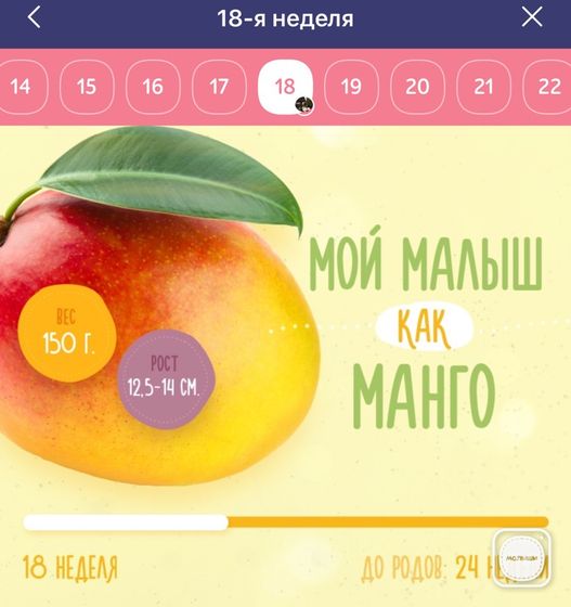 Приём у врача в 18 недель