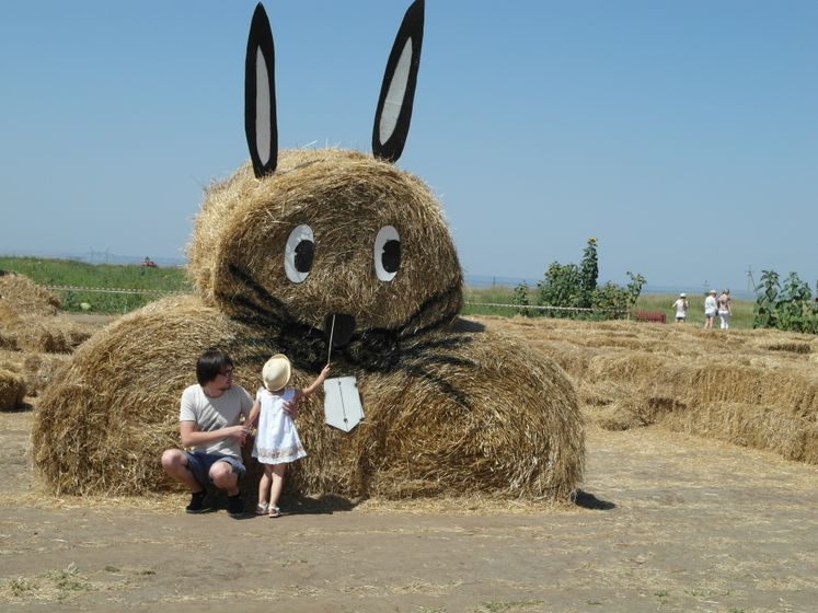 На бахче