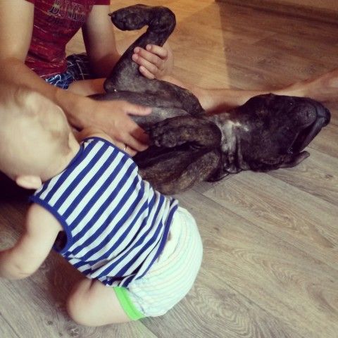 Наша питоняня😍