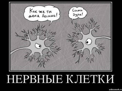Успокоительное и ГВ