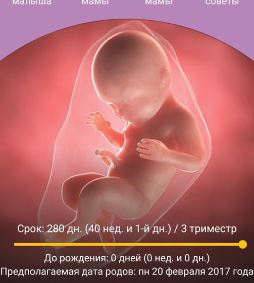 Добрались