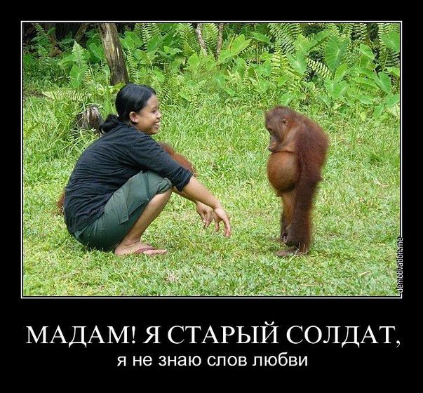 ???? улыбнуться!