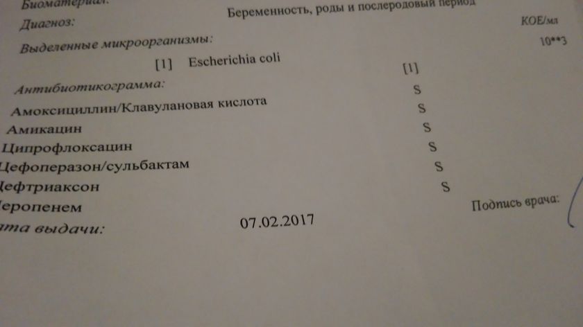 Кишечная палочка в бак.посеве. кому что назначали?