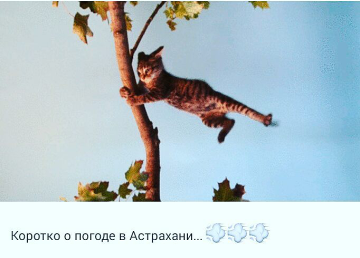 А какая у вас погода?