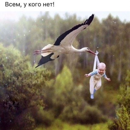 ?☺?