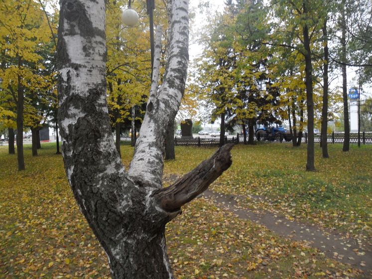 Данков. Отчет о поездке, парки, музеи, много фоток.