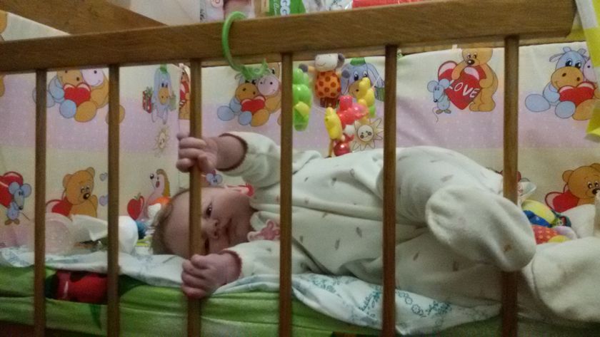 Это наша семья ?