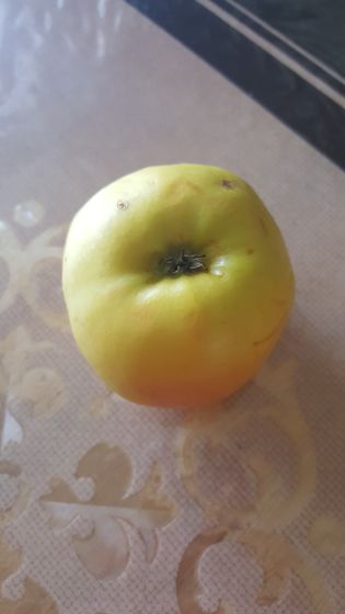 Моя сегодняшняя вкуснятина)))!