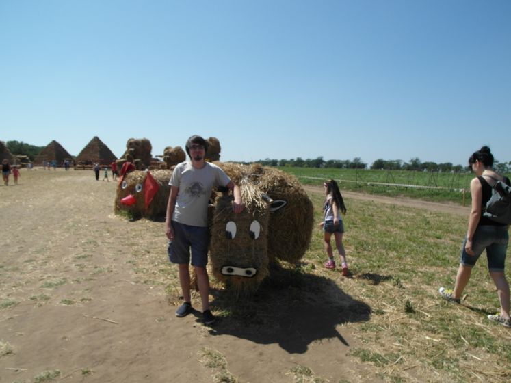 На бахче
