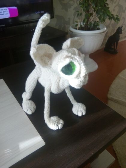 Мой кот)))