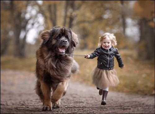 🐶