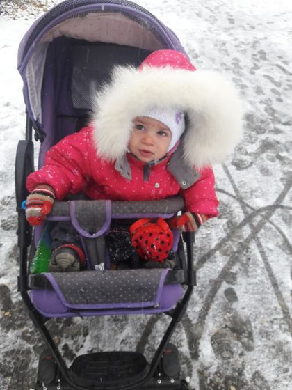 Снежок ❄