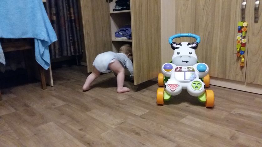 я, исчадье распродаж