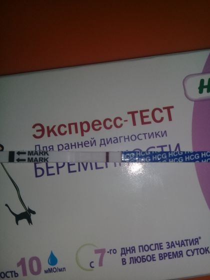 Сделала тест