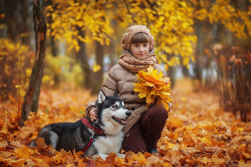 Мини фотопроект с хаски) Фотопост.