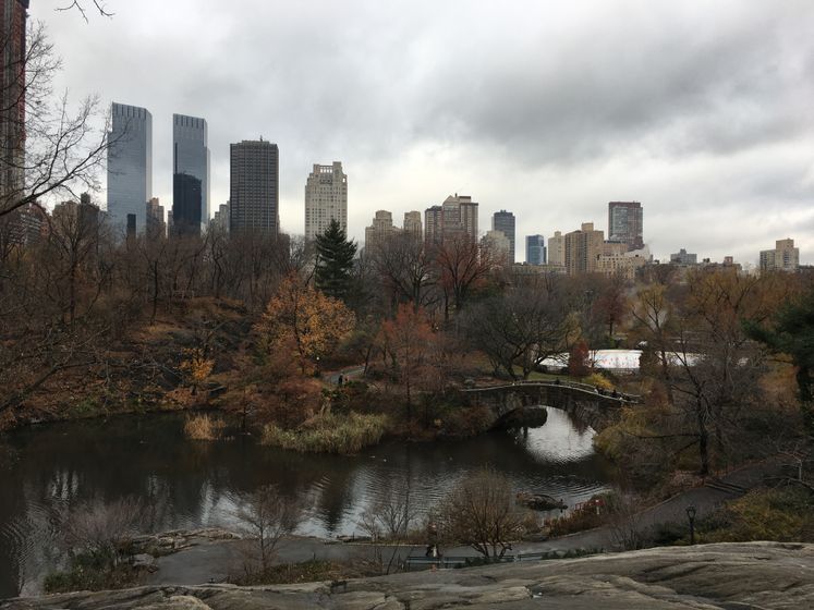 🇺🇸 Каникулы 3-4 день (NY и перелёт NY-Orlando)