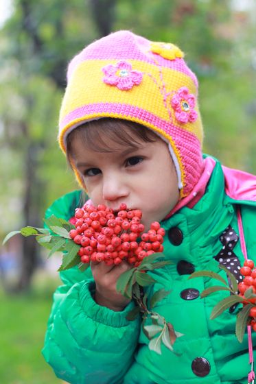 Жизнь вошла в свою коллею