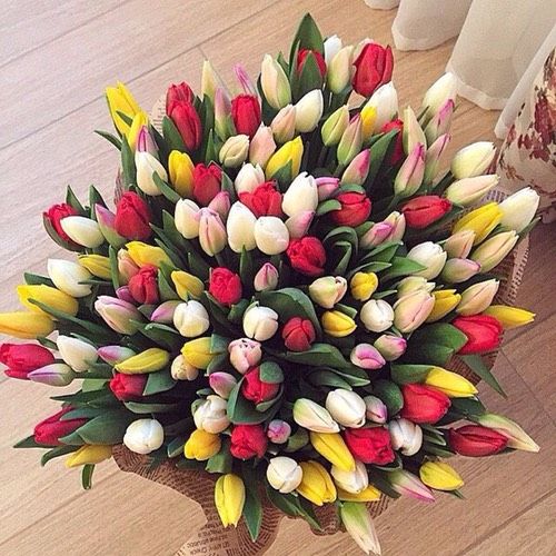 С праздником вас мои