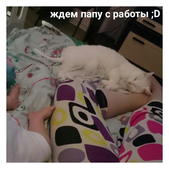 Хорошо ?